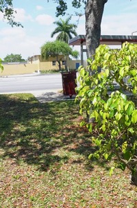 Photo 00