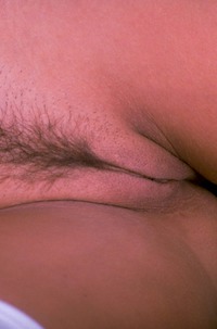 Photo 09