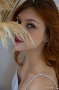 Photo 00