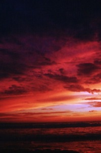 Photo 05