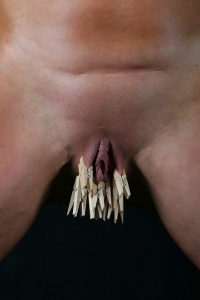 Bondage and clothespins on pussy lips