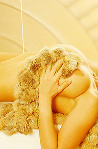 Photo 09